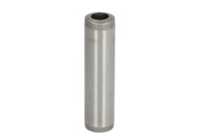 4802126  Ghid supapa 8x14x56mm