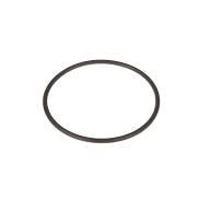 1610254M1  O-ring PTO