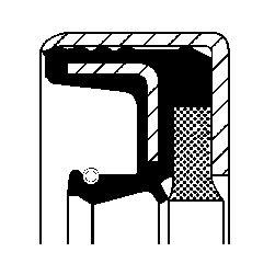 100529A1  Simering (45x65x12mm COMBI NBR)