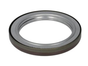 504010779 Simering Palier Iveco
