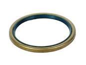 6194017M1 Simering bolt central 50x60x4 mm