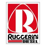 464R080 Ghid supapa IN Ruggerini