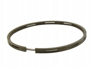 89.003.904 89003904 Segmenti Ungere Piston Zetor 110x6 mm