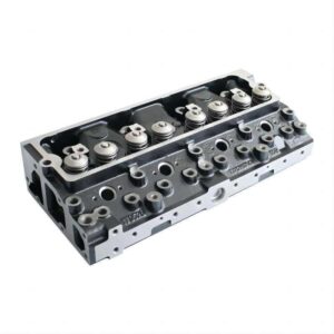 Chiulasa echipata PERKINS ZZ80169, ZZ80216, ZZ80218, ZZ80220, ZZ80221