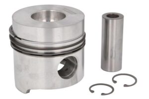 Piston Cu Segmenti Ø100 2.5X2.5X5.5 1908744, 1909001, 1909006, 1909207, 4674336, 4675490, 79037500, 1909167,