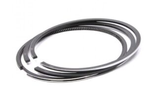 Segmenti Kubota D722 Ø 67mm (1.5x1.5x3mm) 16851-21050 1685121050