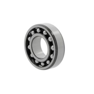 1206TNG Rulment radial-oscilant cu bile pe doua randuri 30X62X16