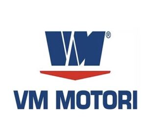 Garnituri chiulasa VM Motori 22020008A