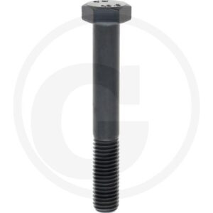 485931 Surub M14x100mm  10.9